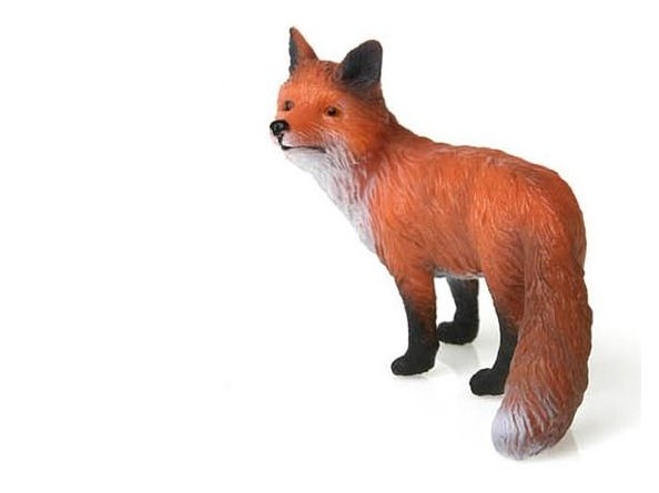 روباه قرمز, image 2