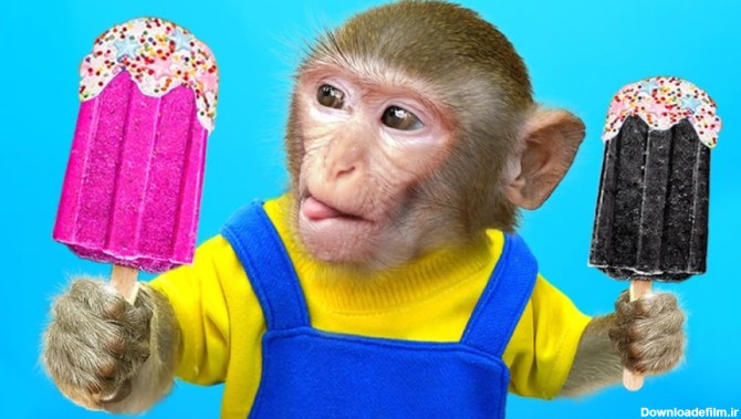 چالش بستنی سیا و صورتی با بچه میمون :: حیوانات خانگی :: میمون بازیگوش