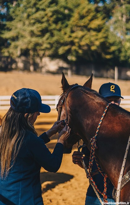 آموزش سوارکاری و اصول اسب سواری