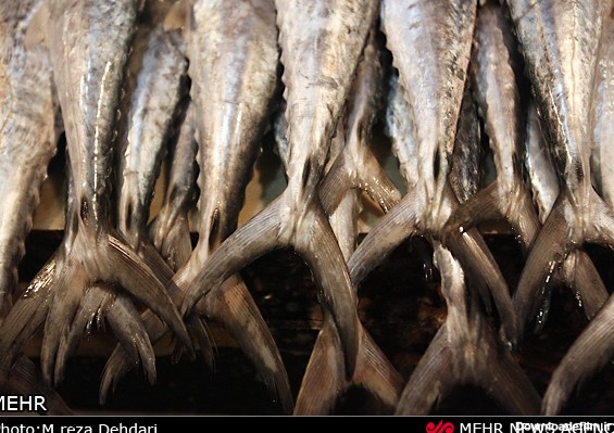 بازار ماهی فروشان آبادان (عکس)