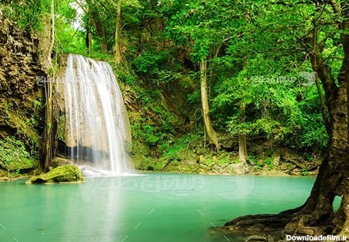 عکس تبلیغاتی طبیعت جنگل آبشار