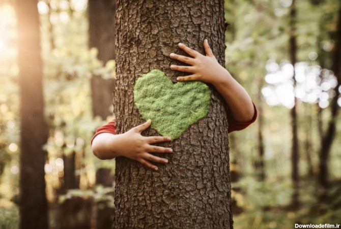 10 انشای زیبا و ادبی از زبان یک درخت
