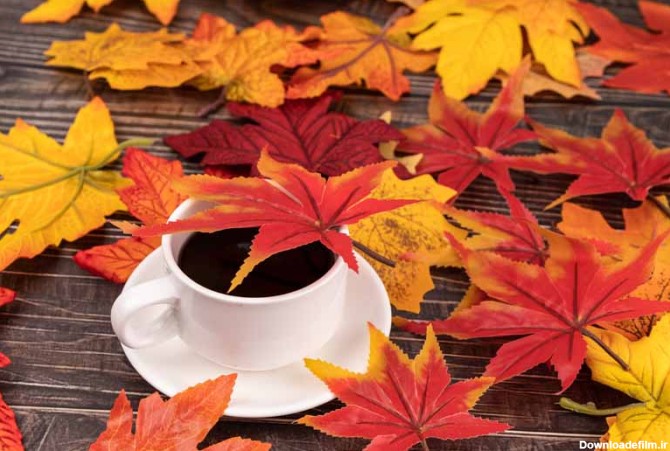 تصویر با کیفیت فنجان چای با تم پاییز