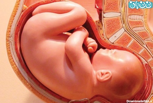 وضعیت جنین شما چگونه است؟ سوالات مهم مادر در ماه هشتم