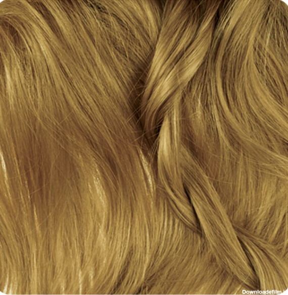 بیول | رنگ موی بیول – بلوند کنفی متوسط - 7.13