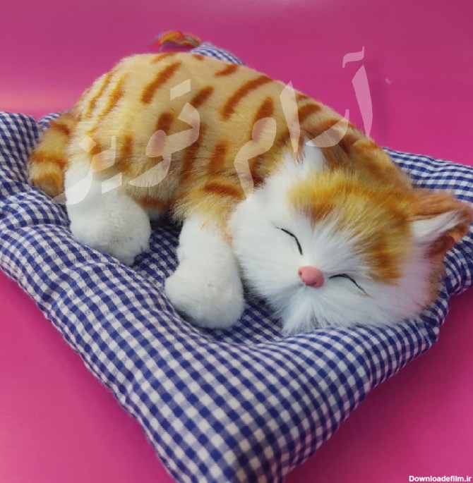 عروسک گربه موزیکال خوابیده - آرام تویز