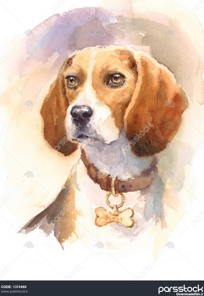 پرتره سگ بیگل با آبرنگ - تصویر حیوانات خانگی نقاشی شده با ...