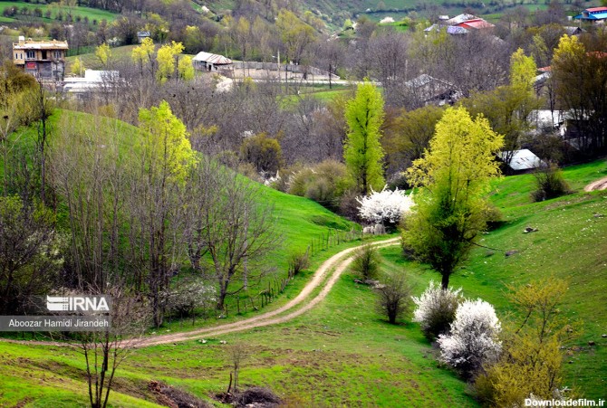 طبیعت بهاری کوهستان رودبار در استان گیلان - خزرنما