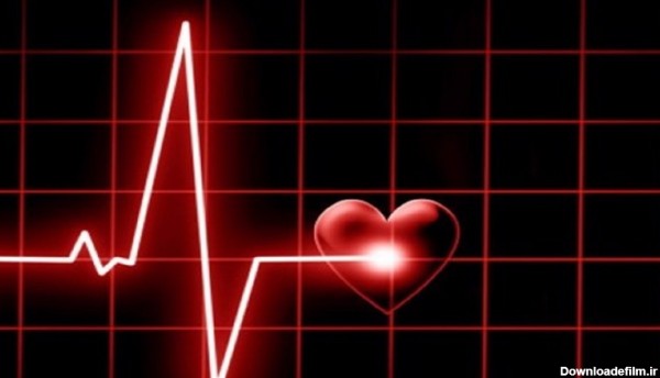 آخرین خبر | ضربان قلب نرمال و هر آنچه که باید درباره آن بدانید