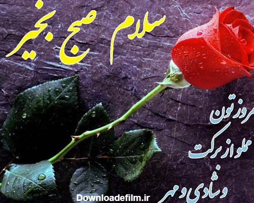 سلام صبح بخیر عاشقانه❤️+ متن صبح بخیر زیبا برای عشقم • مجله ...