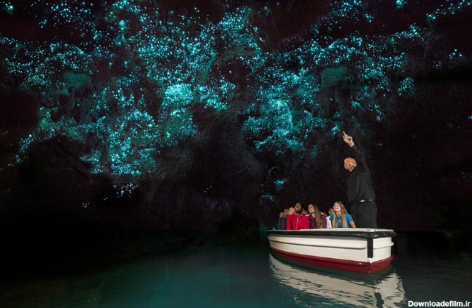 غارهای کرم شب‌تاب - عجیب ترین جاهای دیدنی جهان