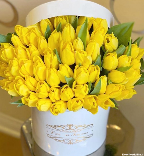 سبد گل لاله زرد طبیعی هلندی با گلدانی سفید