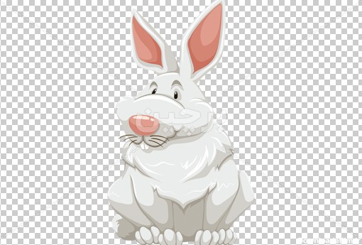 Borchin-ir-nice white rabbit cartoon animal large photo عکس بدون زمینه کارتونی خرگوش۲