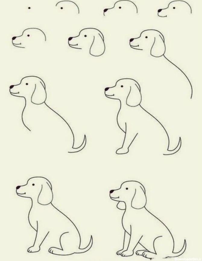 آموزش گام به گام نقاشی سگ