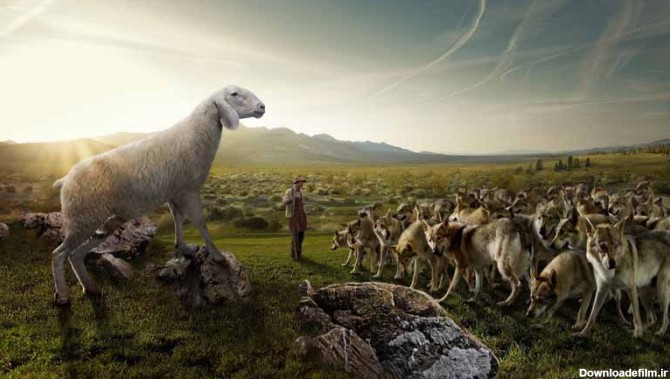 دانلود تصویر فانتزی گرگ ها و گوسفند | تیک طرح مرجع گرافیک ایران