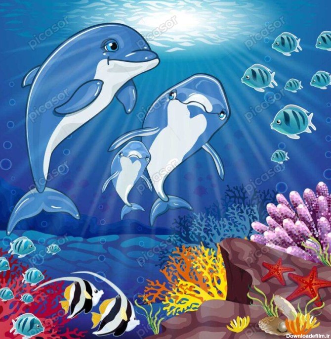 وکتور دلفین و حیوانات دریایی - وکتور تصویر سازی کارتونی دنیای زیر آب و حیوانات