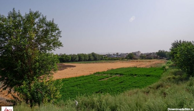 مزرعه در محله جوانمرد قصاب
