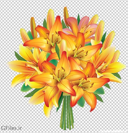 دسته گل زیبای گلهای لیلیوم نارنجی (PNG بدون پس زمینه)