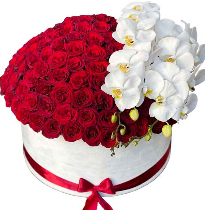 باکس گل رز و ارکیده برفین - خرید باکس گل شیک برای خواستگاری