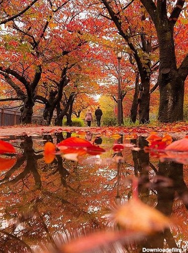 تصویر زیبای پاییز برای پروفایل