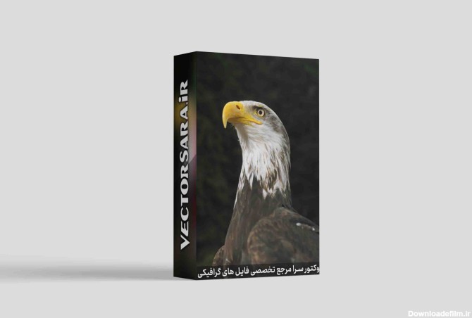 عکس عقاب برای طراحی | دانلود پکیج با کیفیت | JPG | وکتورسرا