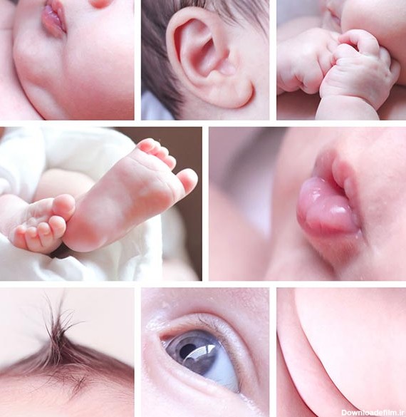 عکاسی نوزاد در [ مجهزترین و بروزترین ] آتلیه نوزاد | استودیو عکاسی ...