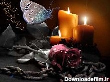 شعر نو : شمع،گل،پروانه