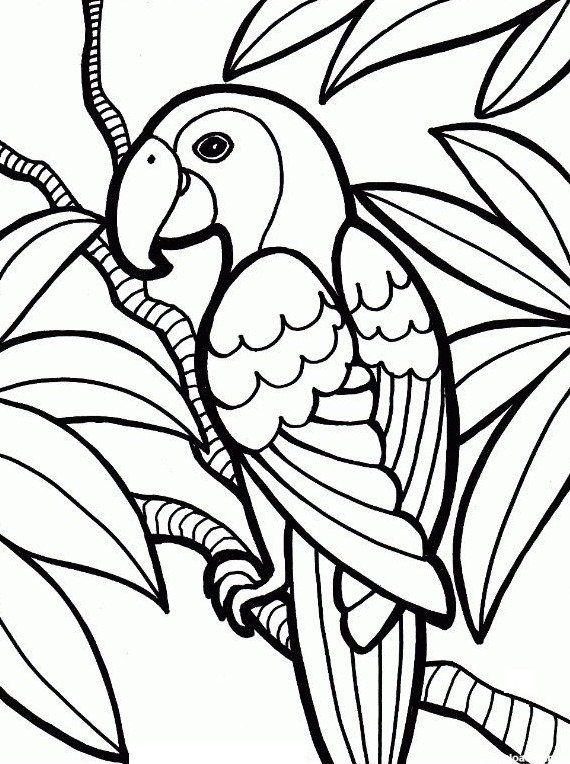 نقاشی طوطی برای رنگ آمیزی