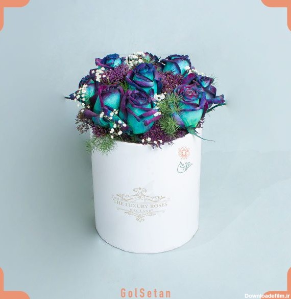 باکس گل رز آبی لاجوردی