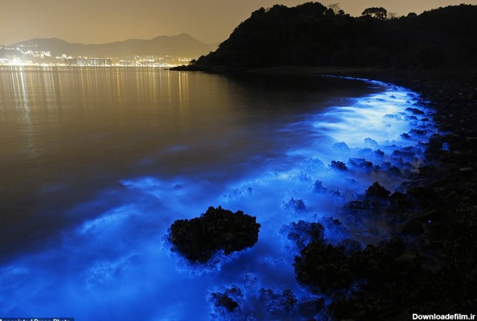 دریایی با ساحل درخشان آبی رنگ در شب + تصاویر