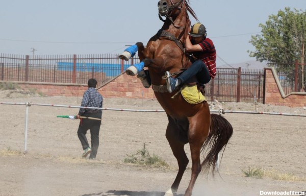 عکس اسب سواری دخترانه