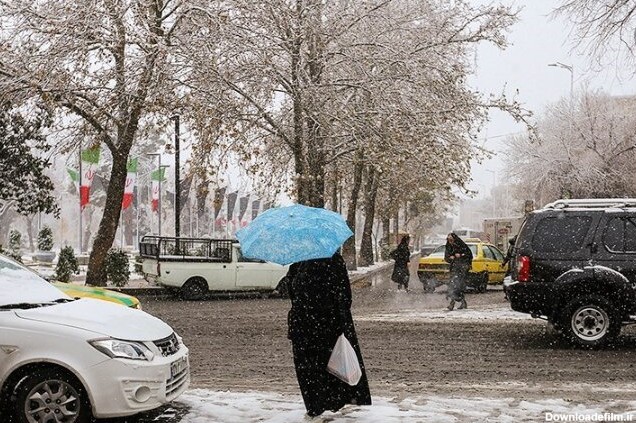 ببینید | تصاویر زیبا از بارش باران در تهران