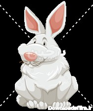 عکس خرگوش خانگی سفید مشکی بصورت دوربری شده | بُرچین – تصاویر ...
