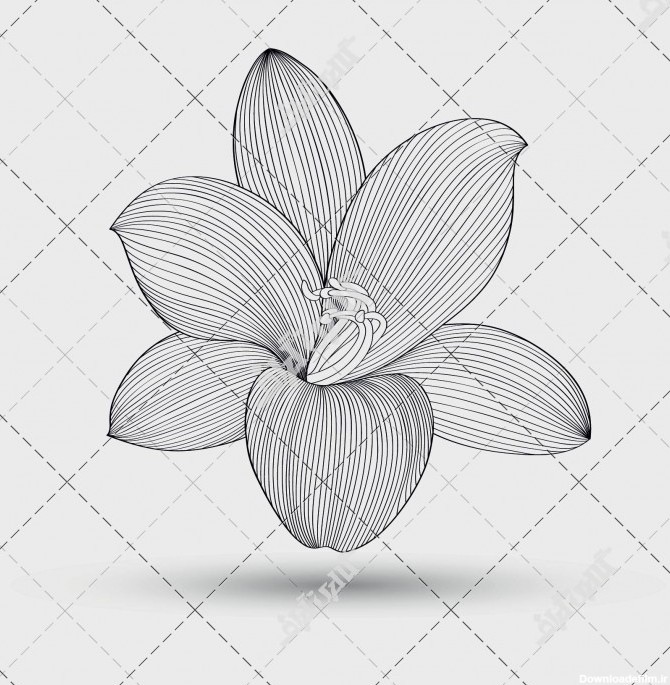 وکتور طراحی گل سه بعدی سیاه و سفید