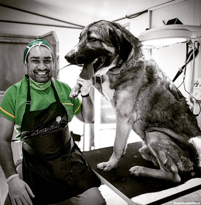 حسام حسینی در کنار یک سگ سرابی بزرگ - ارایشگاه حیوانات خانگی ...