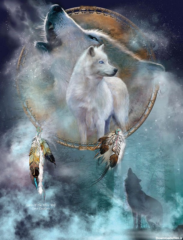 نقاشی های زیبا از گرگ ها