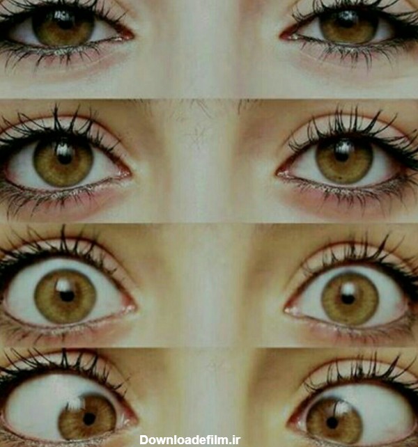 چشم عسلی - عکس ویسگون