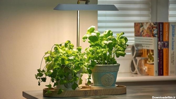 خرید لامپ رشد گیاه [فروش ویژه+100 محصول چراغ ال ای دی گیاه]