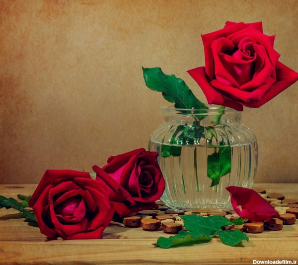 ۲۳۵ گلدان شیشه ای - عکس ویسگون