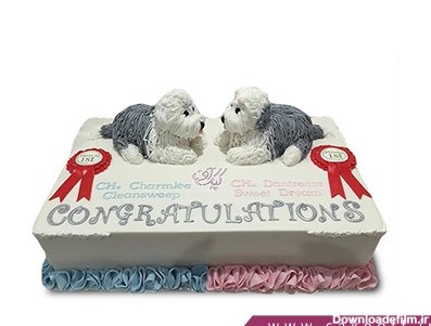 کیک حیوانات - کیک دو سگ ملوس | کیک آف