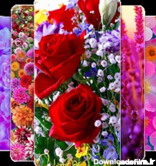 👑تصویر زمینه ی گل های زیبا👑 for Android - Download | Bazaar