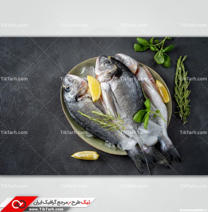 دانلود عکس با کیفیت ماهی های مقوا سفید | تیک طرح مرجع گرافیک ایران
