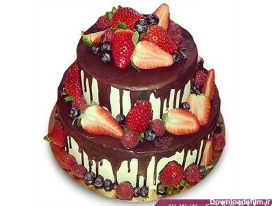 کیک با تزیین میوه - کیک میوه ای 5 | کیک آف