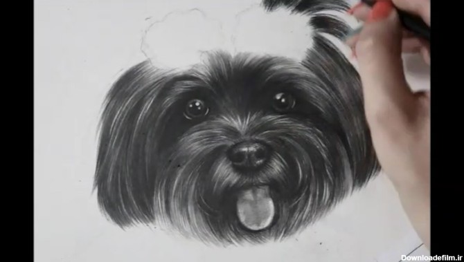 سگ پشمالو چطور نقاشی می شود ؟ + فیلم