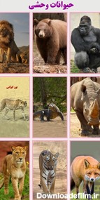 Animal Sound Game for Android - Download | Bazaar