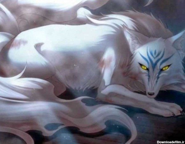 روباه سفید(درخواستی) - عکس ویسگون