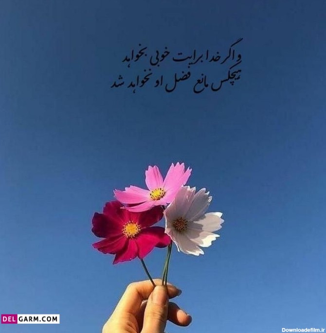 عکس گل نوشته دار خدا