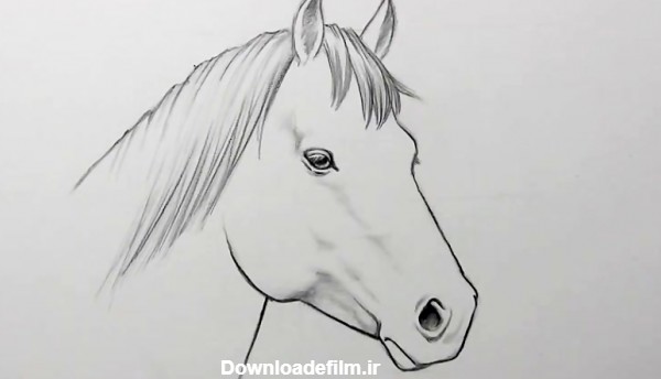 آموزش طراحی چهره یک اسب به صورت ساده