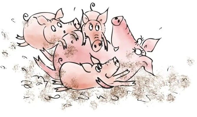 قصه کودکانه سه بچه خوک - موشیما