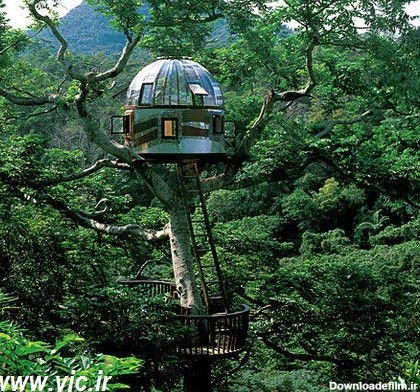 5 خانه درختی جالب دنیا (+عکس)